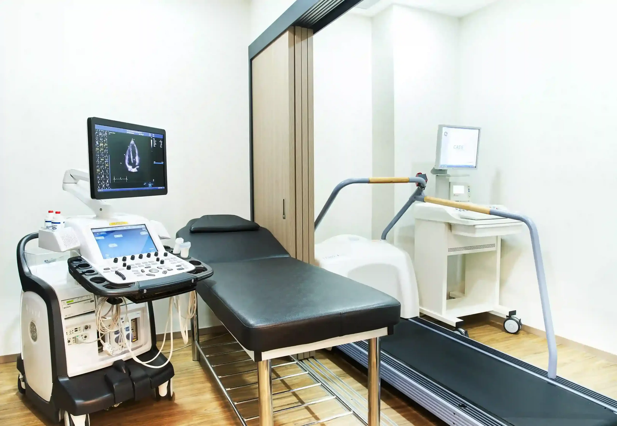 Exercise treadmill stress test