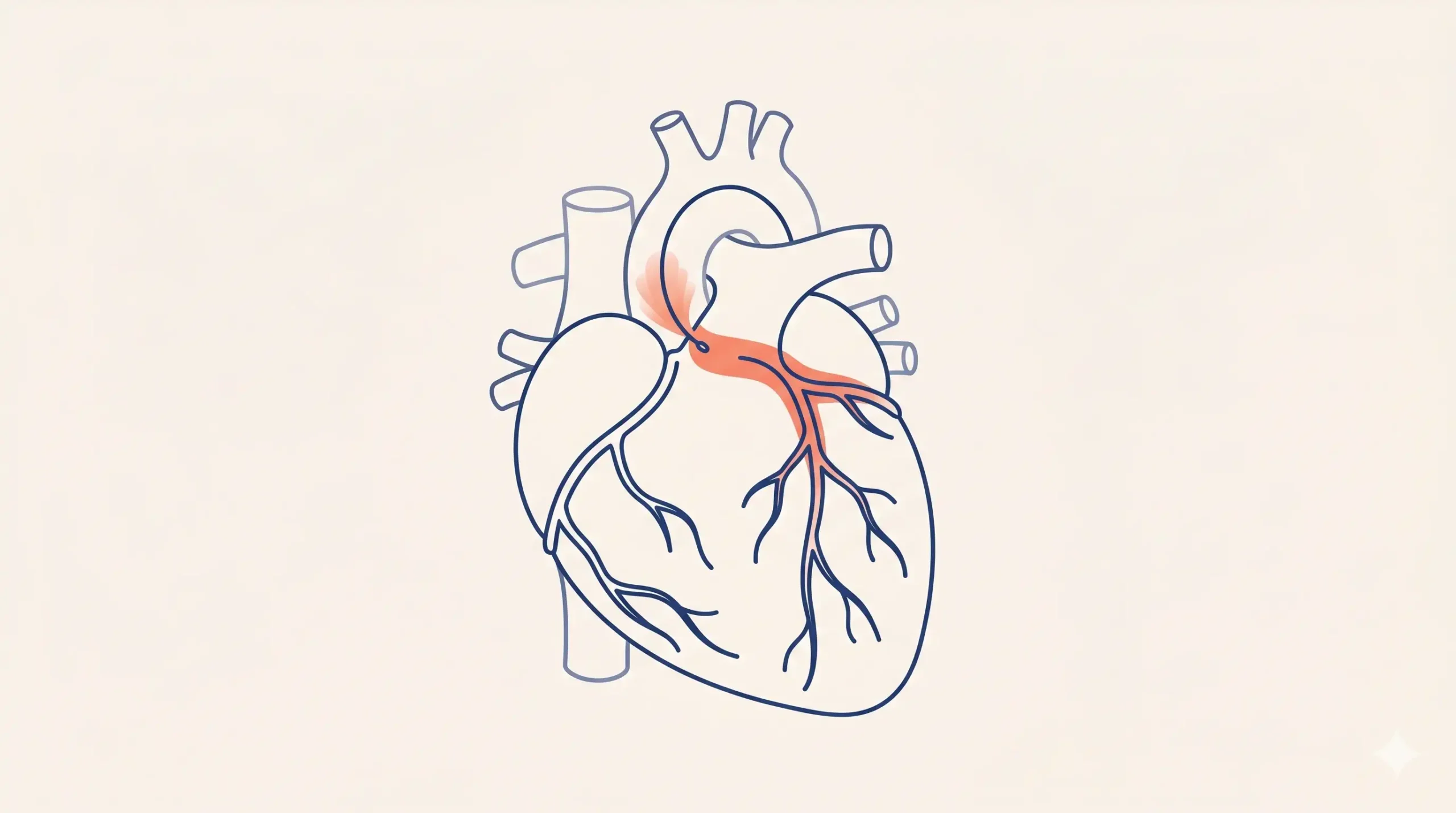 Coronary angiography procedure